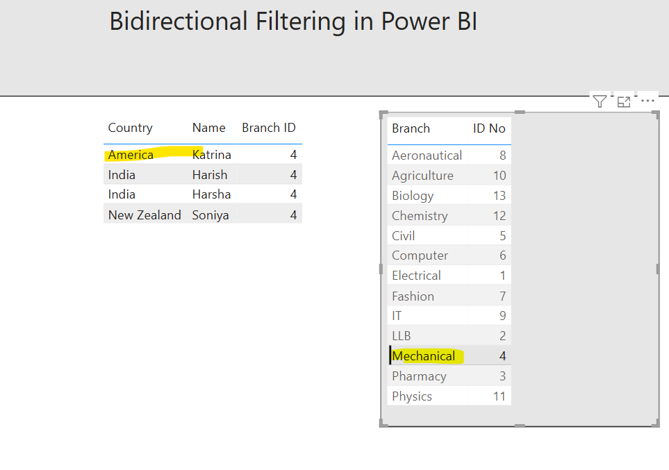 Bidirectional Filtering in Power BI