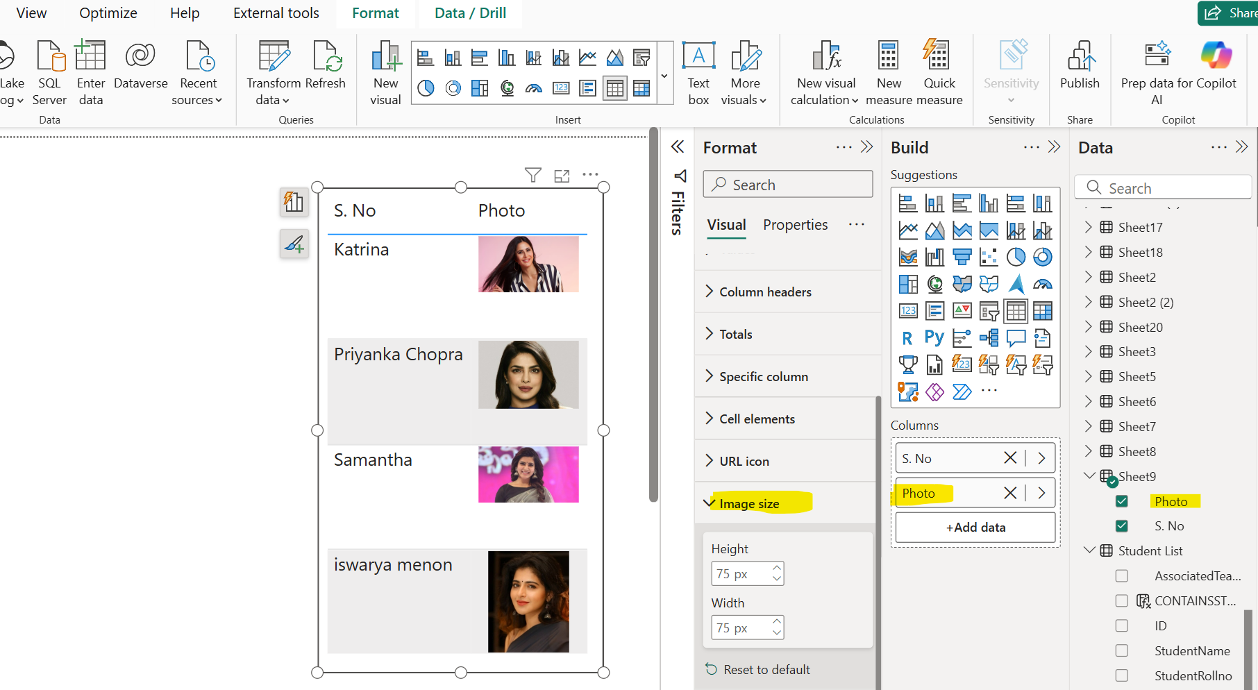 Display Image using URL in Power BI Report