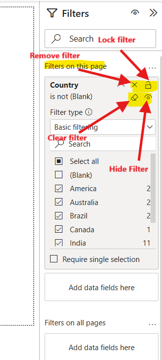 Filters Pane in the Power BI